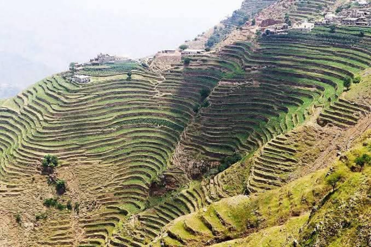 المدرجات الزراعية اليمنية: المعجزة الإنسانية الأولى في تاريخ البشرية